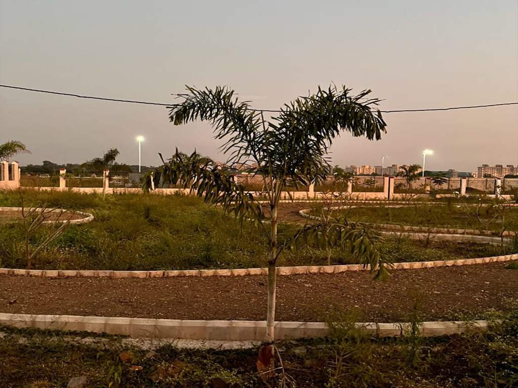  nagar 19 sec c Landscape Garden and Tree Planting