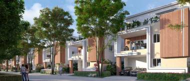 Elevation mayfair-sunrise Elevation