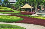 Landscape Garden and Tree Planting vardhman-city Landscape Garden and Tree Planting