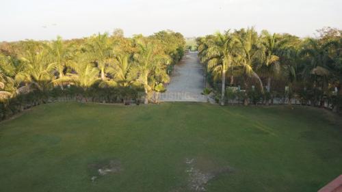  shashwat-greens Landscape Garden and Tree Planting