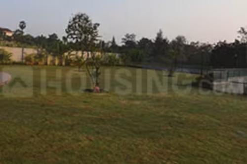  sanskruti Landscape Garden and Tree Planting