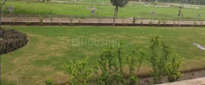  city Landscape Garden and Tree Planting