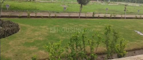  city Landscape Garden and Tree Planting