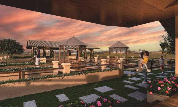 Others debarchona Others