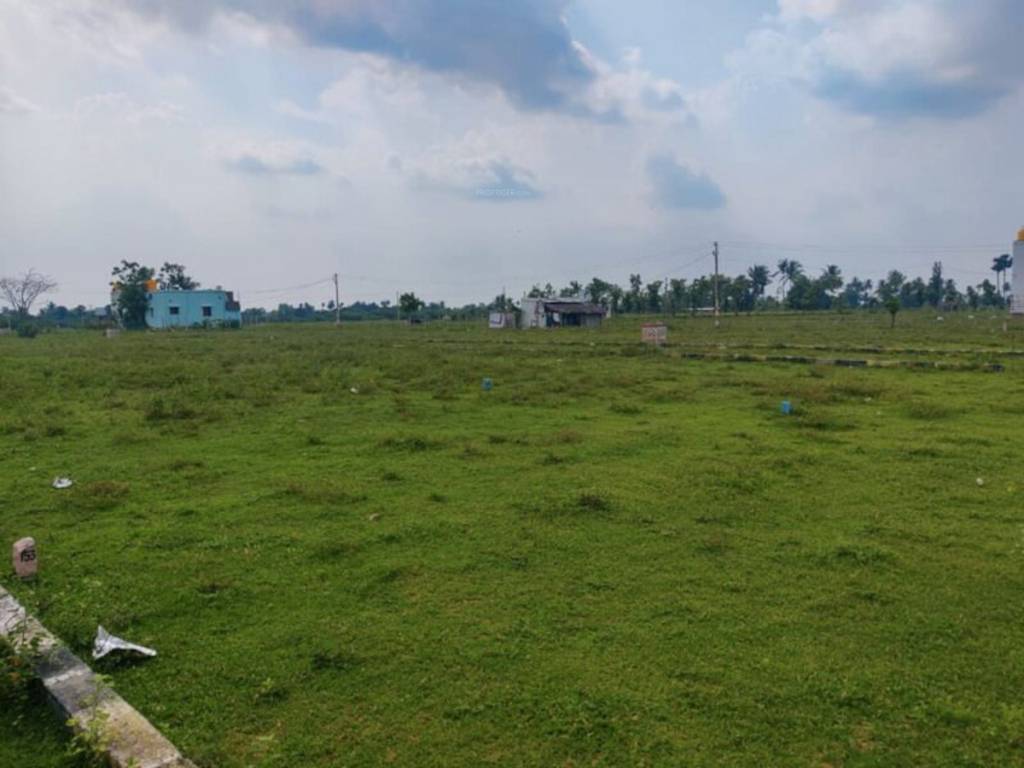 svr nagar Plot