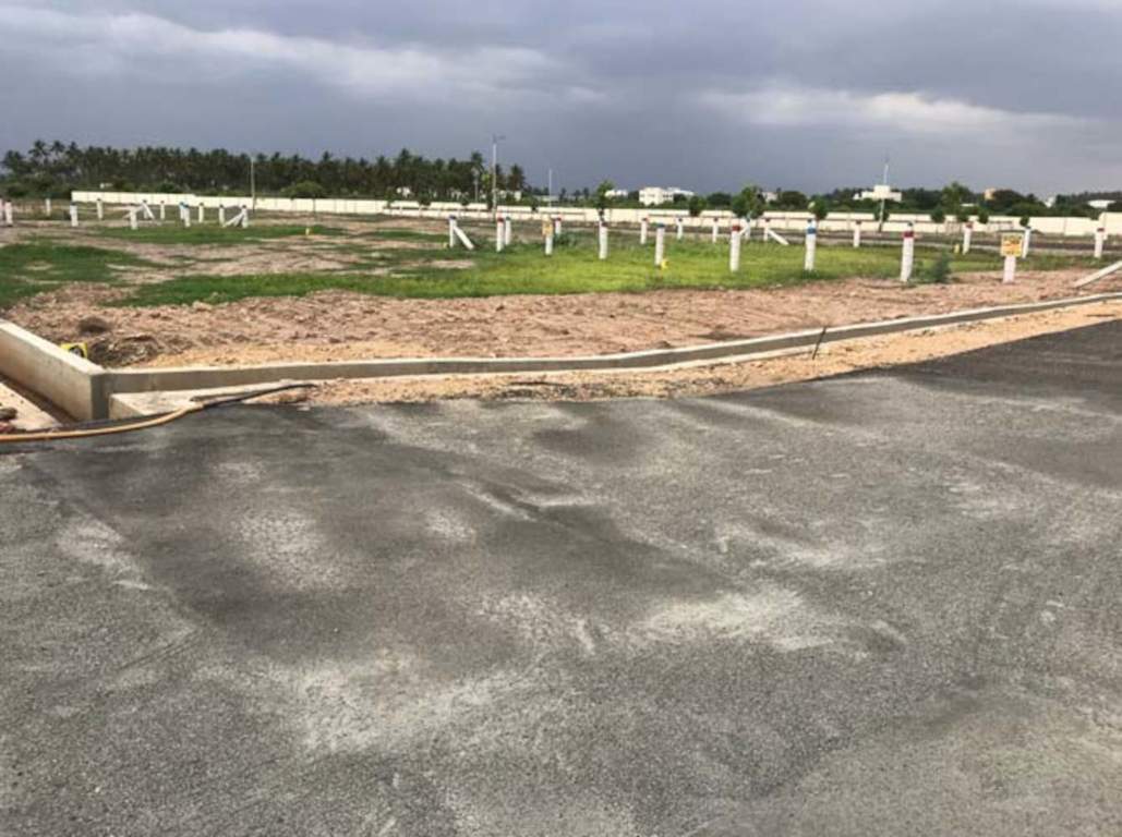  platina phase iii Plot