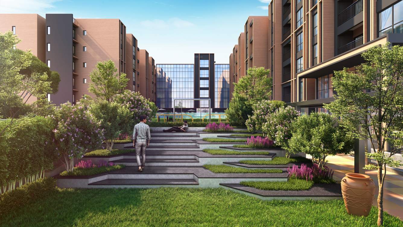  palm springs Landscape Garden and Tree Planting