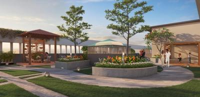  antonia-c-wing Landscape Garden and Tree Planting