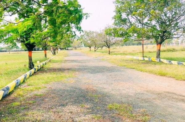  electronic-city Plot