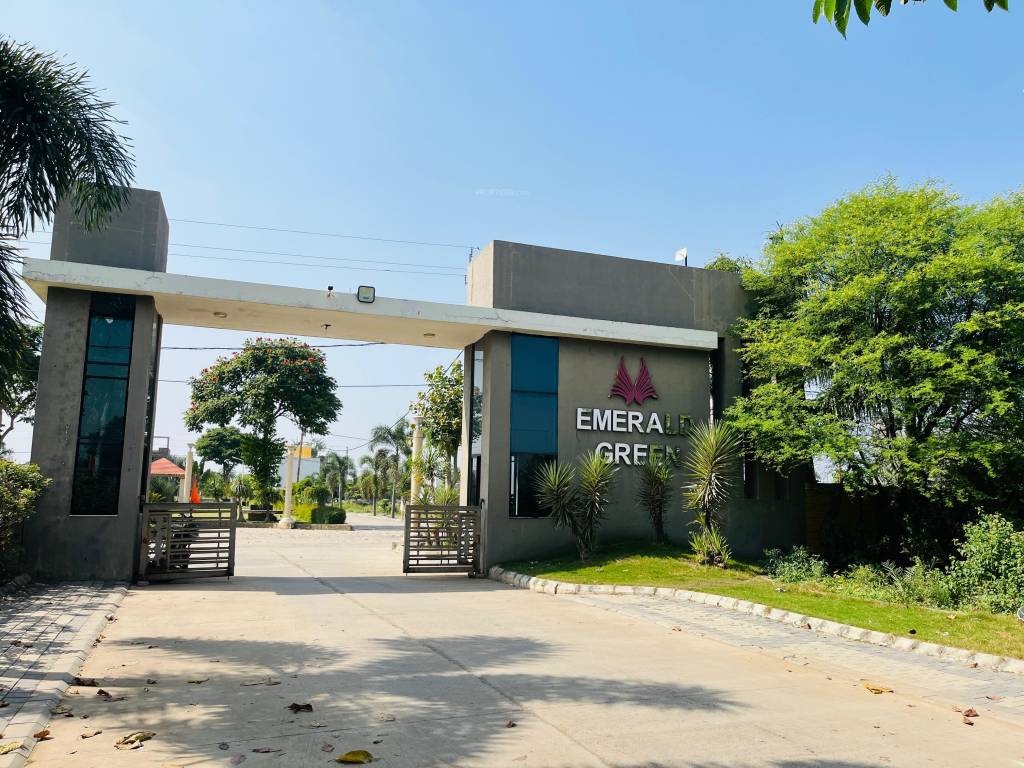 Elevation emerald green phase 2 Elevation