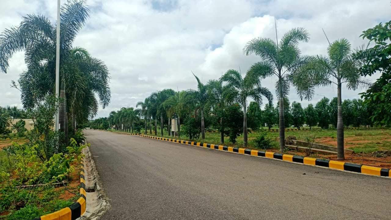  e city Plot