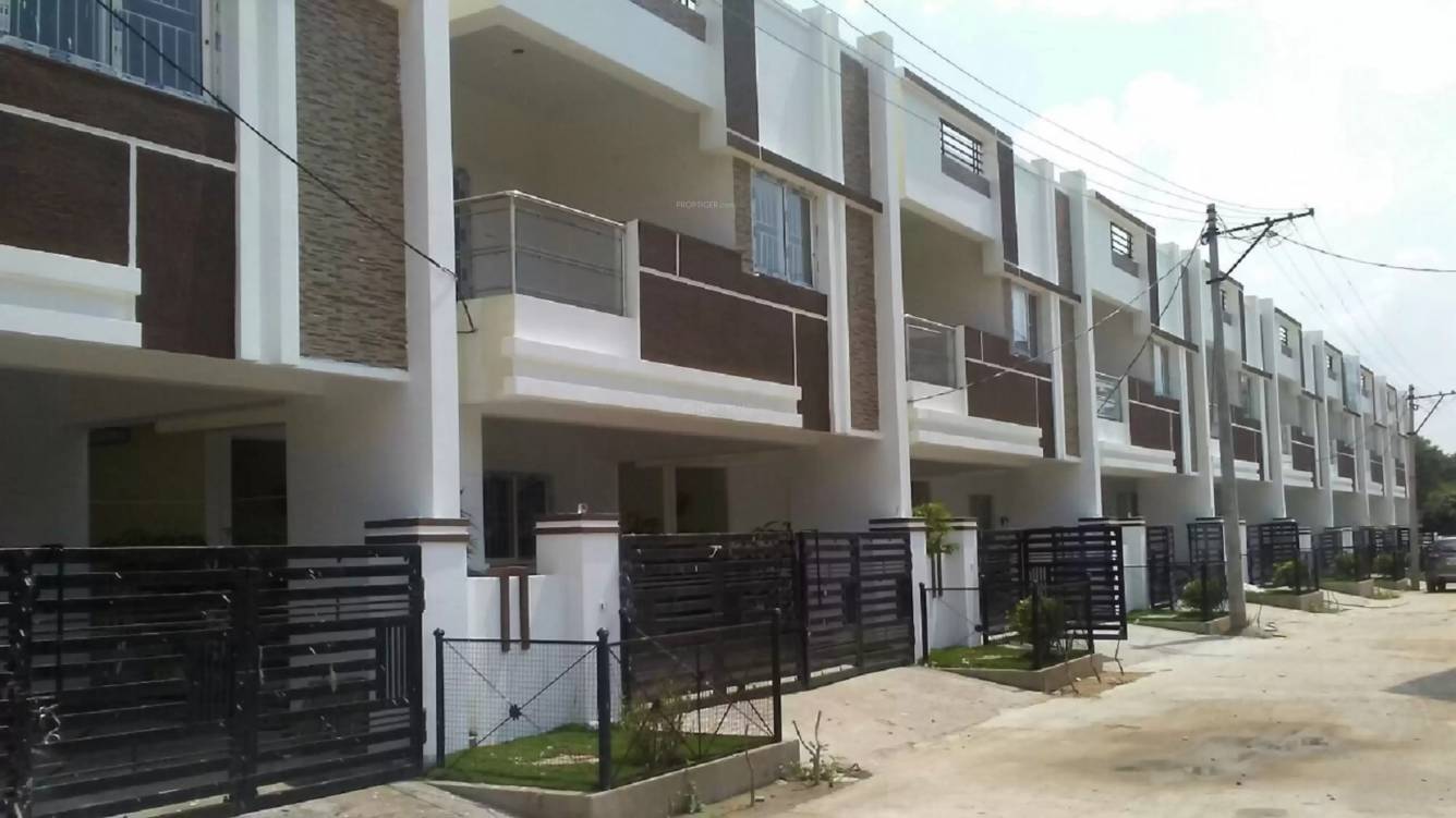  green woods Elevation