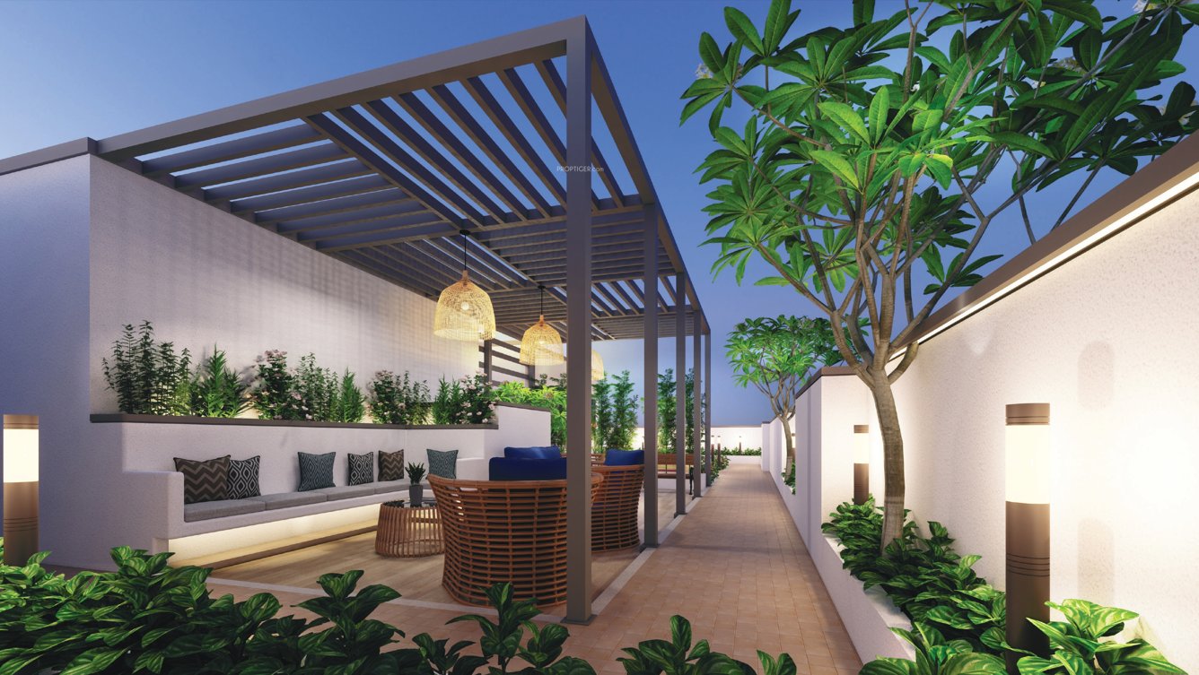  mrugank Terrace Garden