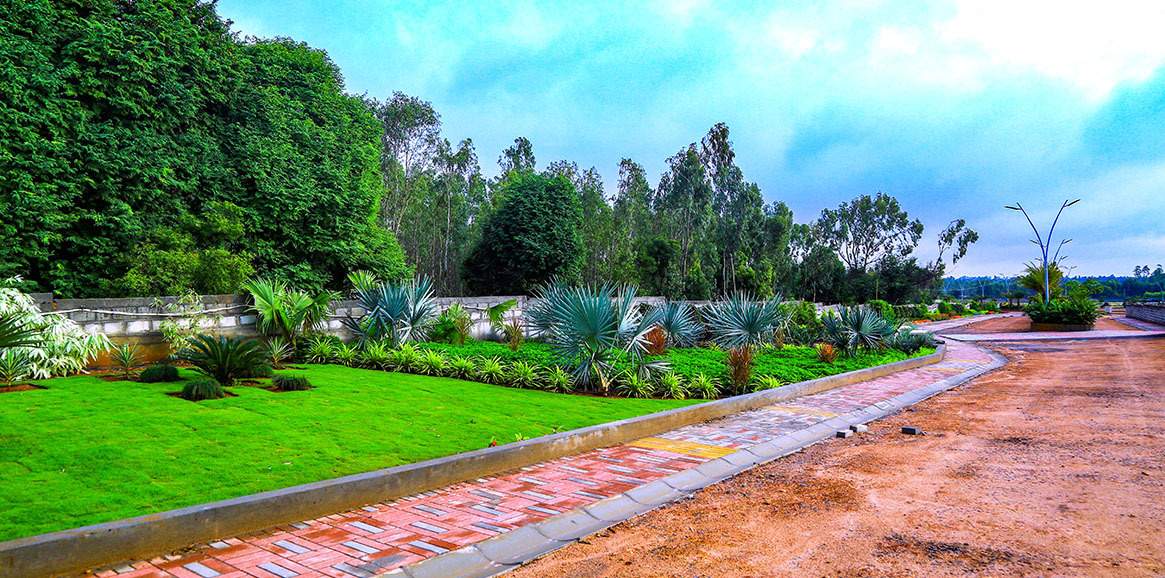 the sanctuary phase iv Landscape Garden and Tree Planting