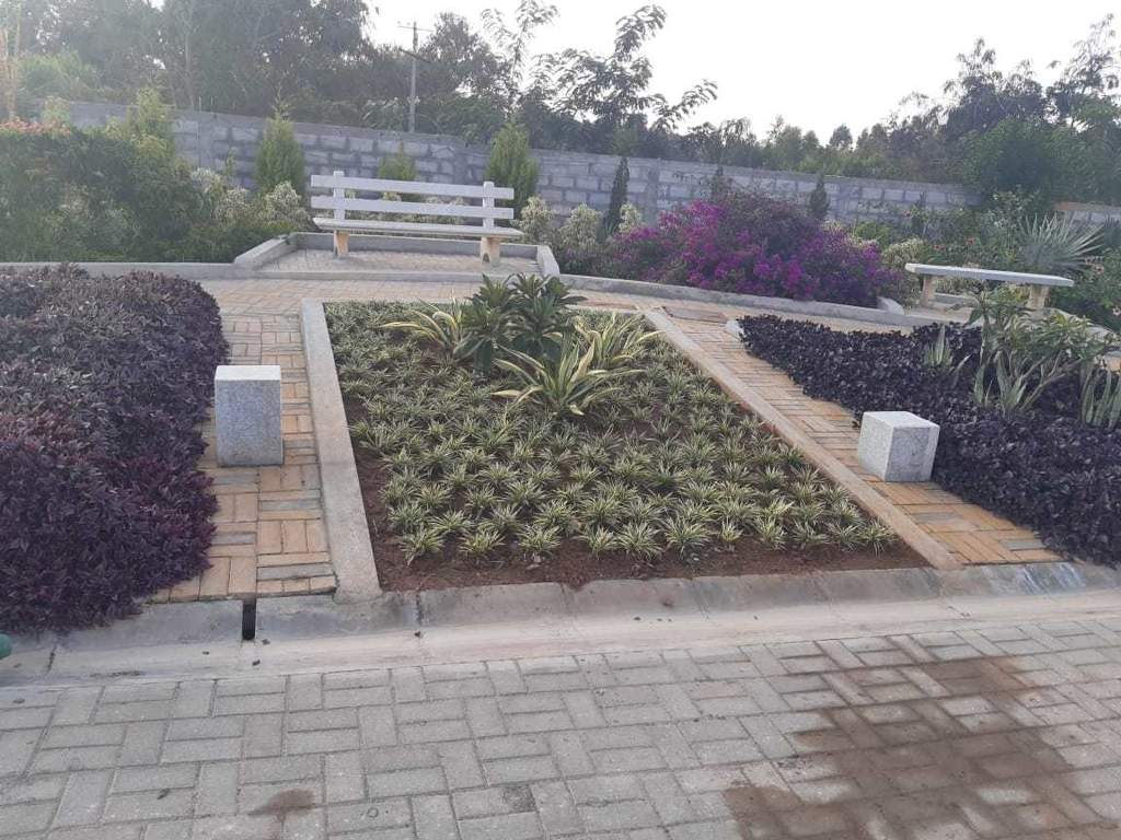 the sanctuary phase iv Senior Citizen Sitout