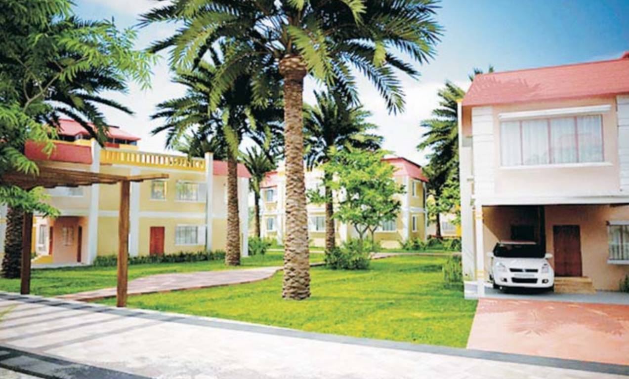  shanti shristi Others