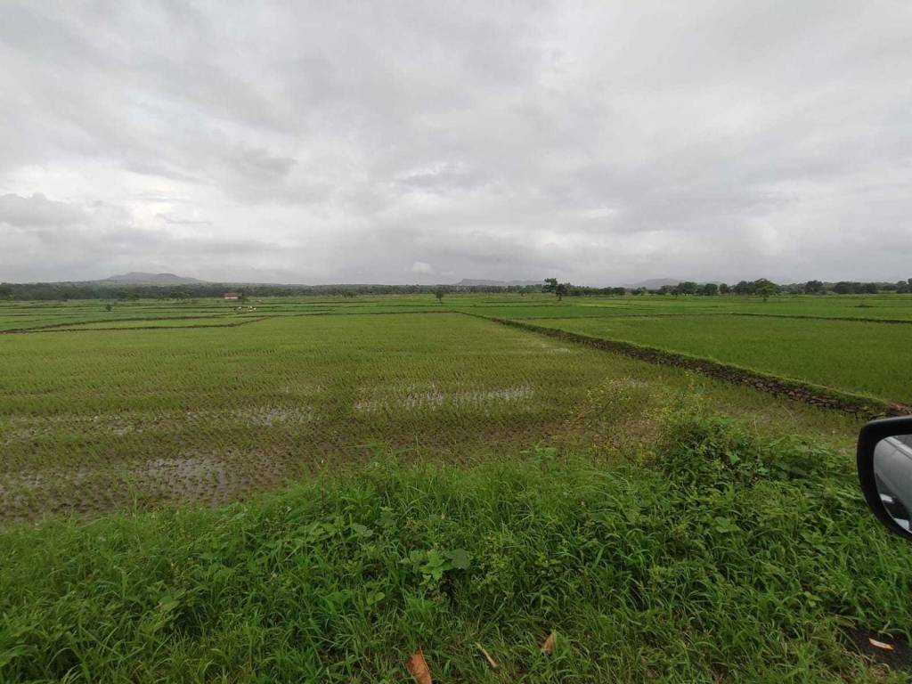 Elevation ranjanpada Elevation