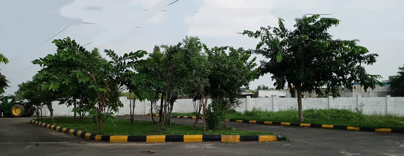  capetown phase 2 Internal Roads & Footpaths