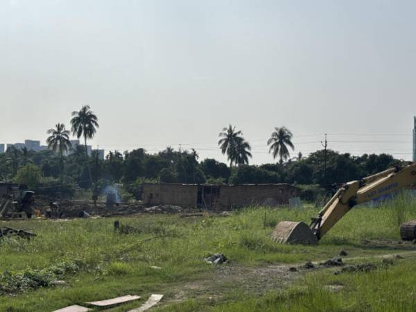  liffe-fest Construction Status Nov-24