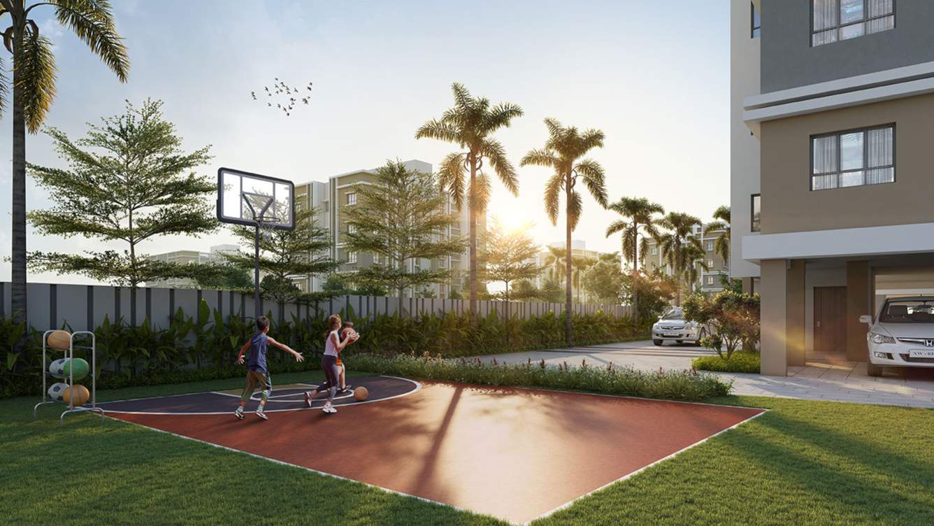  liffe fest Basketball Court