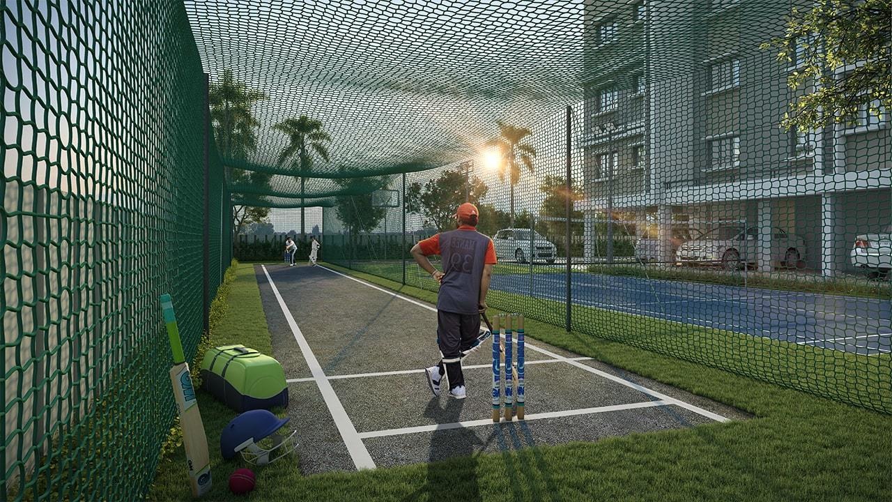  liffe fest Cricket Pitch