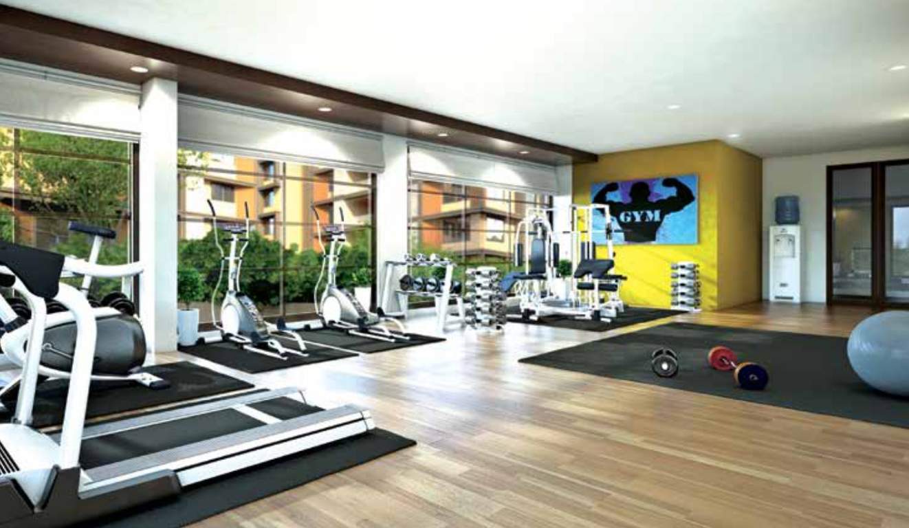  shaunak apartments Gymnasium