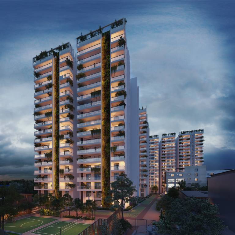  dev signature one Elevation