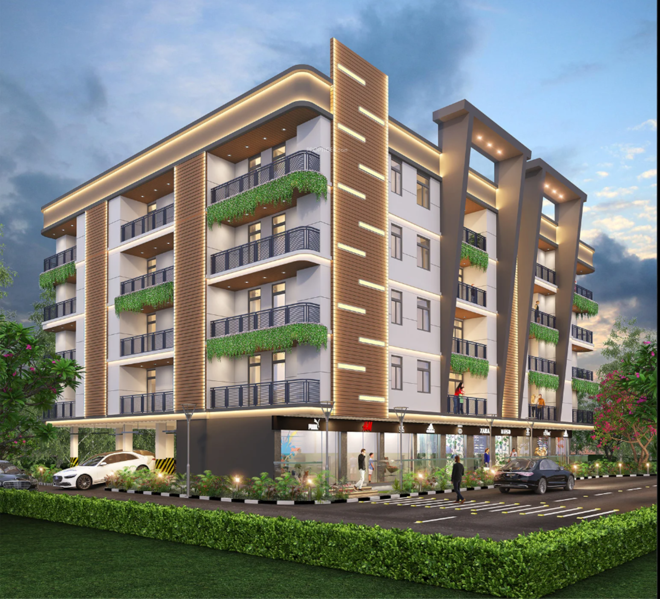 builder vista Elevation