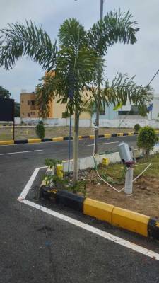  urban-castle Elevation