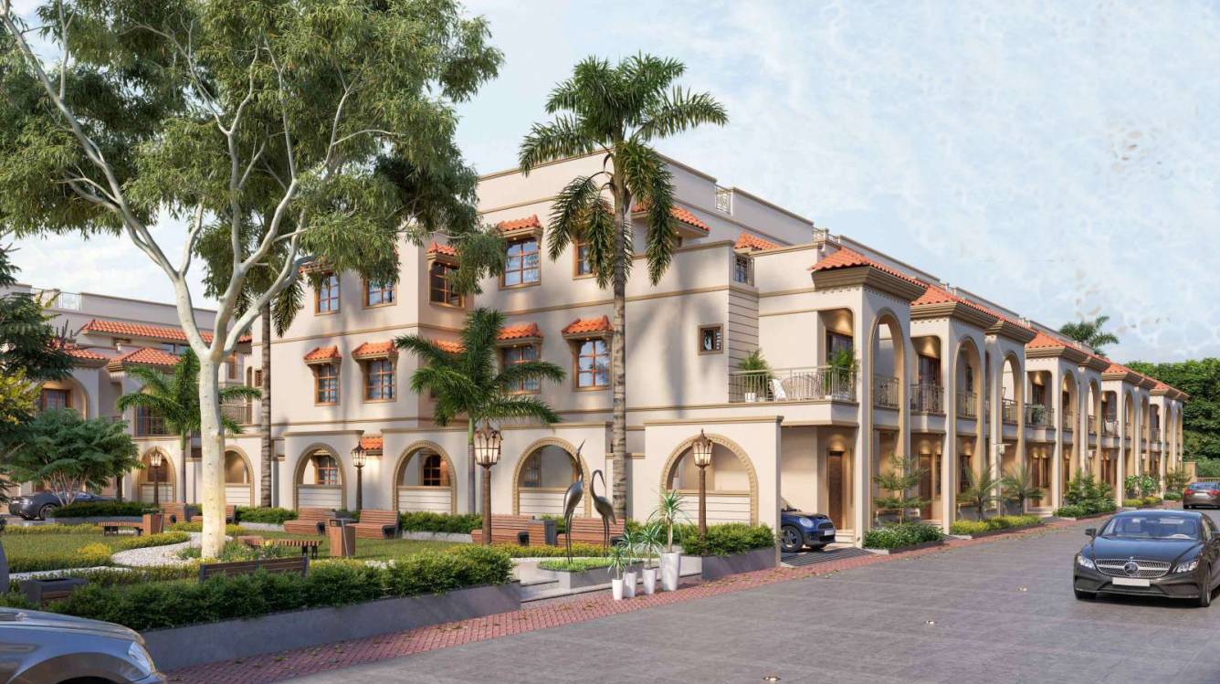  shivalay gold Elevation