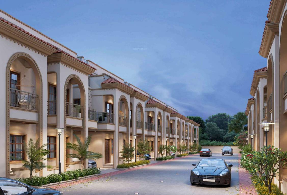  shivalay gold Elevation