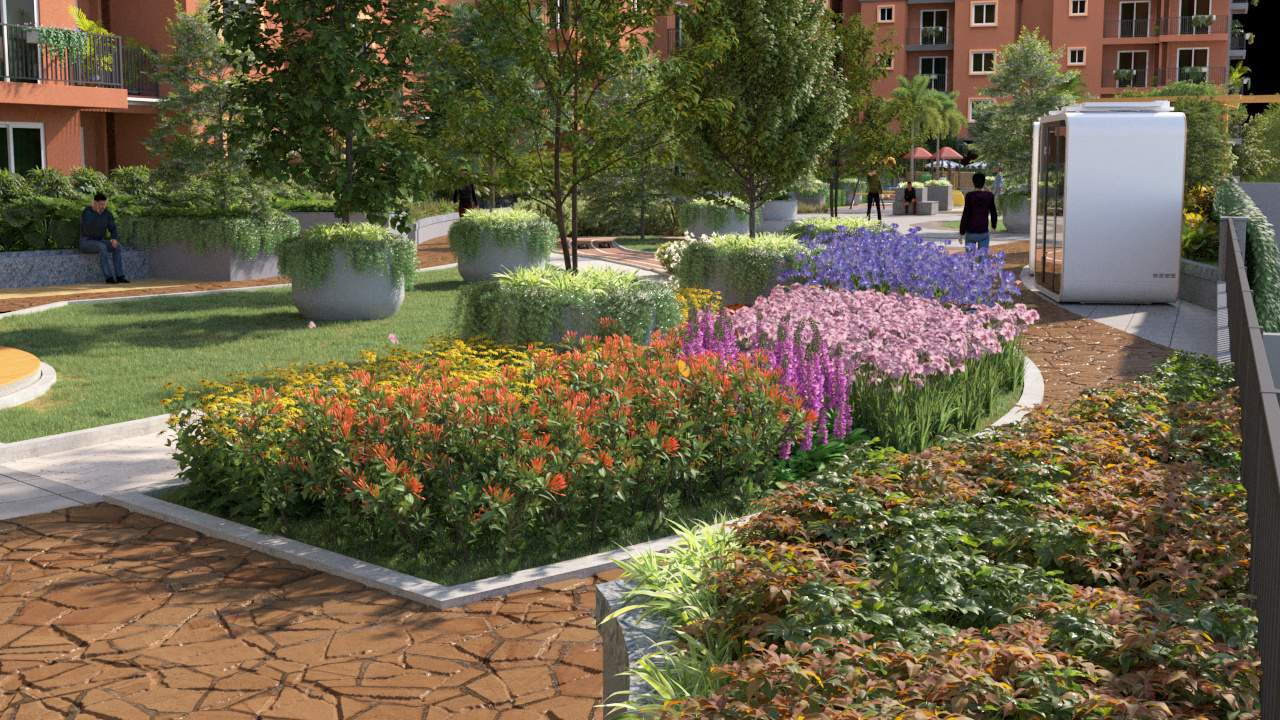  florenza Landscape Garden and Tree Planting