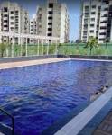  elysium-phase-2-tower-a-and-i Swimming Pool