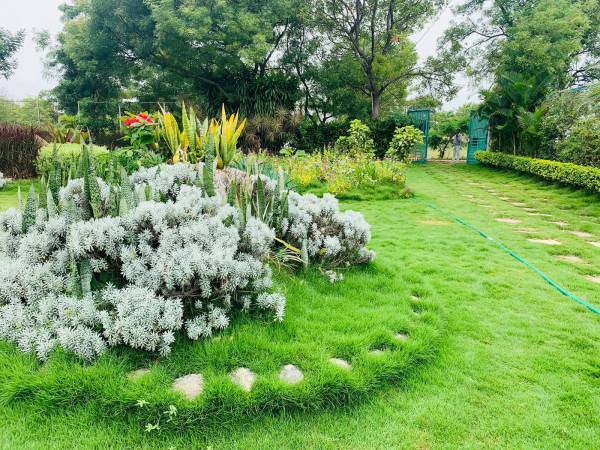  brindavanam Flower Garden