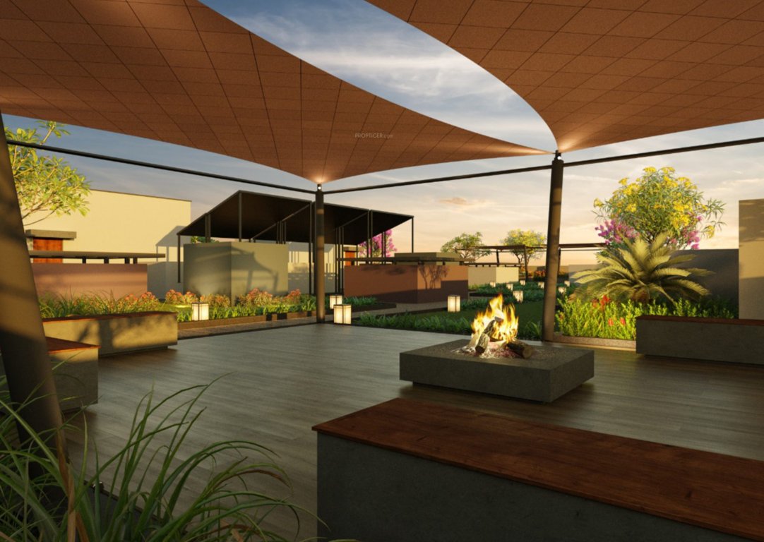  shoolin exotica Others