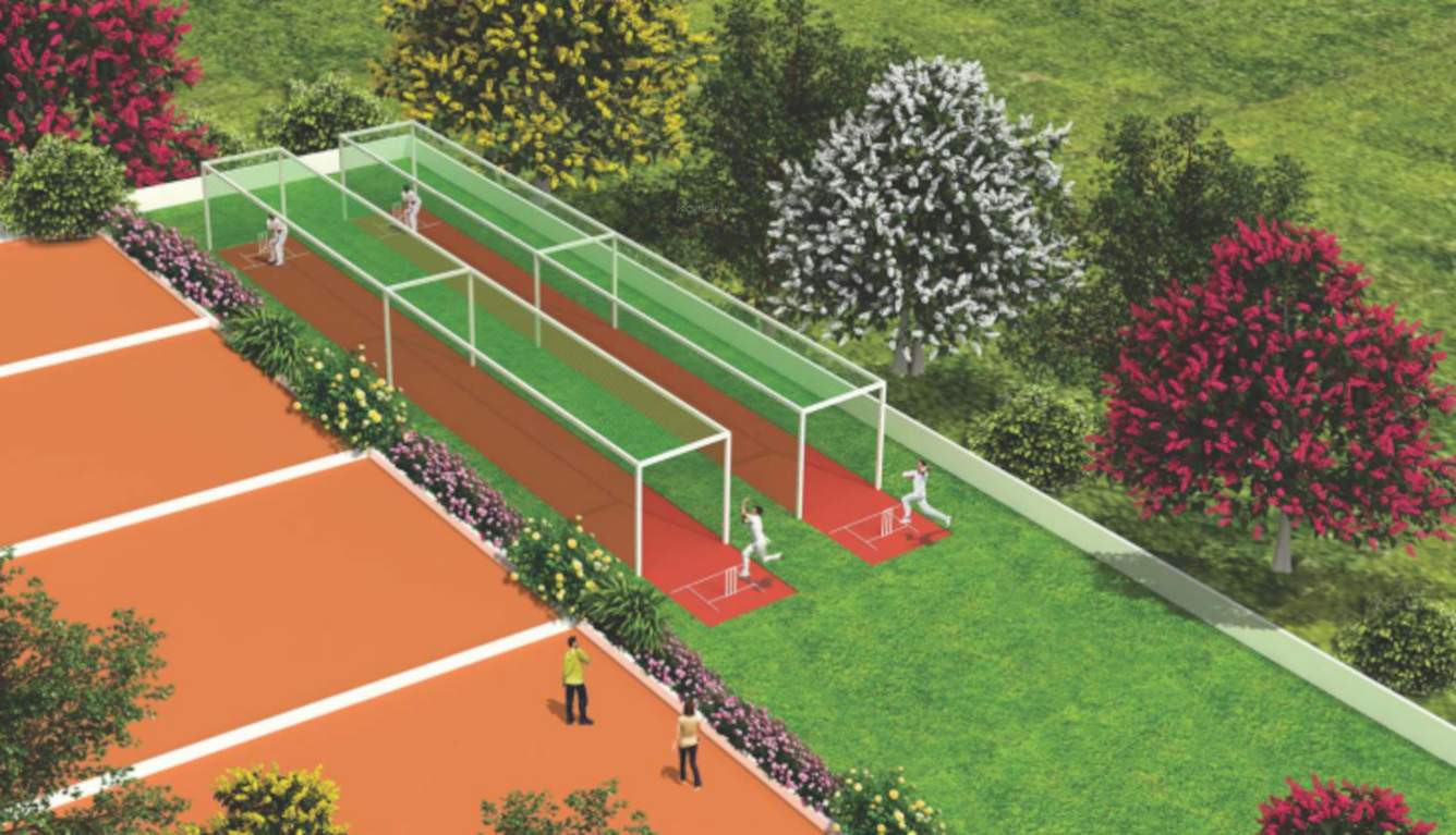  blissful garden Cricket Pitch