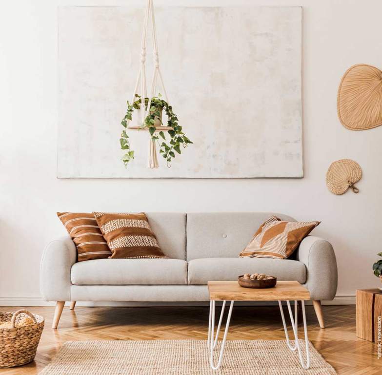  sujal apartment Living Area