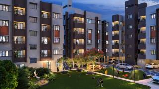 Project Image Project Image