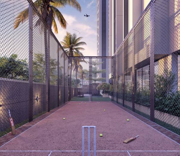  pride-plus Cricket Pitch