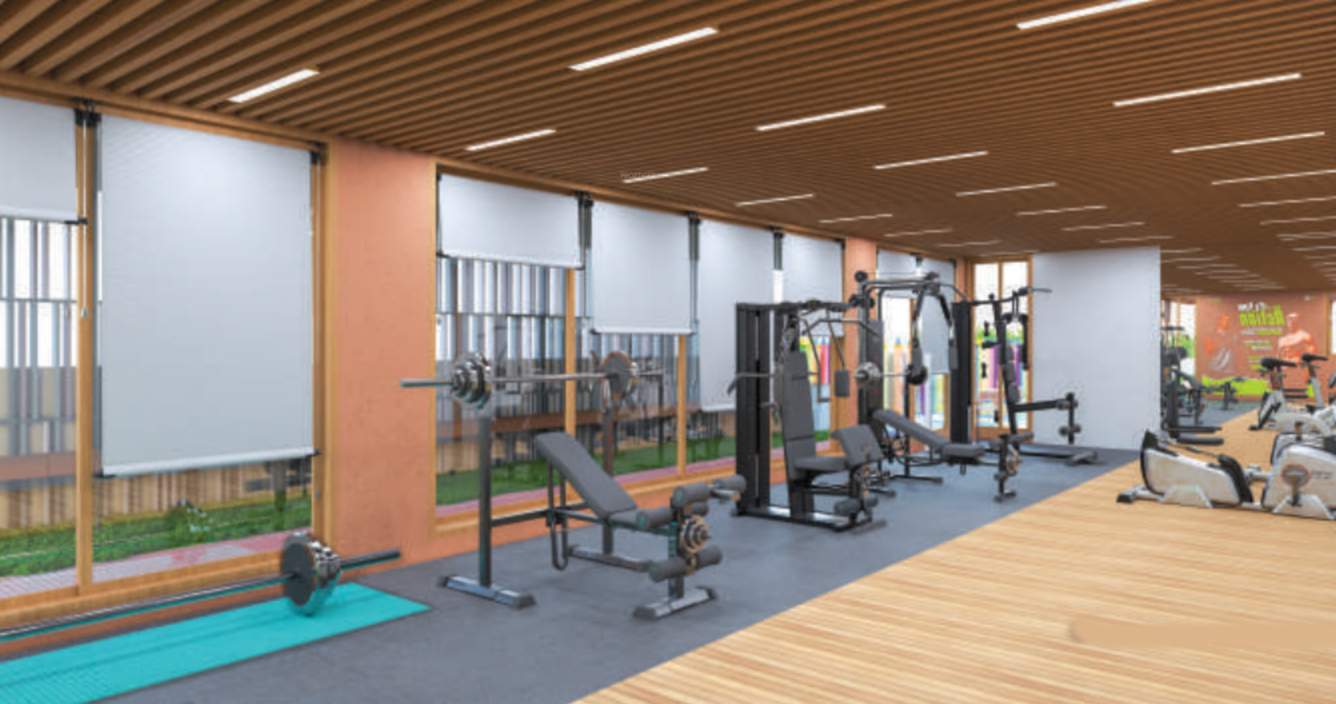  prism city green Gymnasium