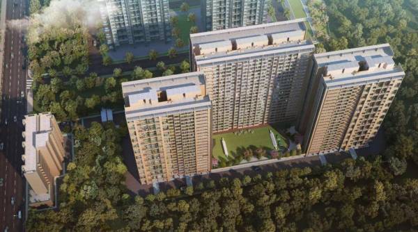 Elevation mesmer-phase-7 Elevation