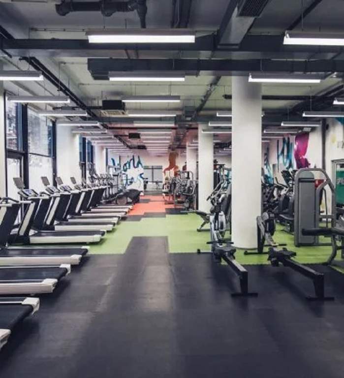  everest Cricket Pitch