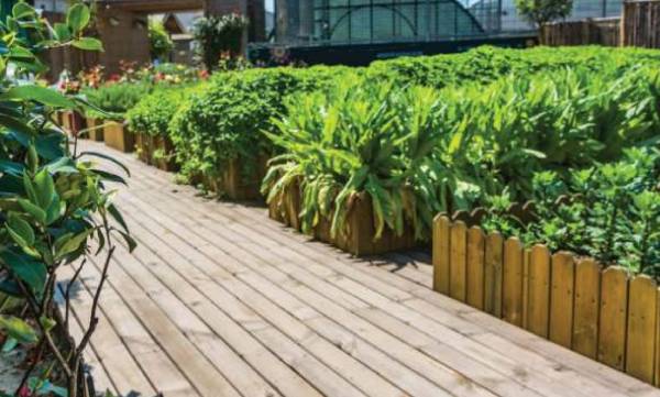  panorama Landscaped Gardens