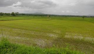 Project Image Project Image