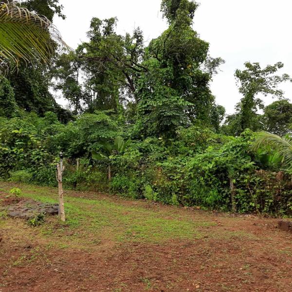 Others mangaon Others