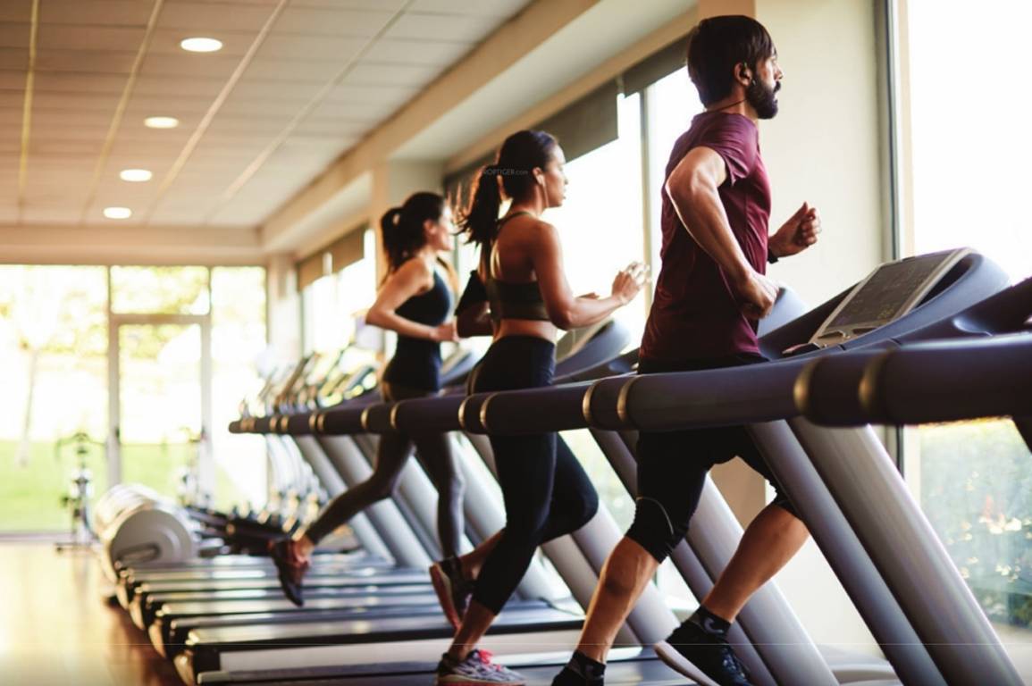  crescent park 1 Gymnasium