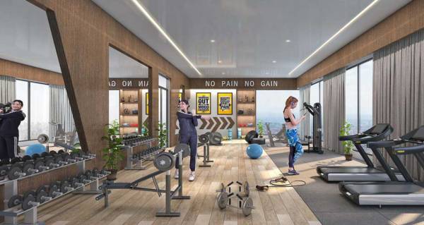 Gymnasium glorious Gymnasium