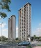 Palm Rivera Heights Divine