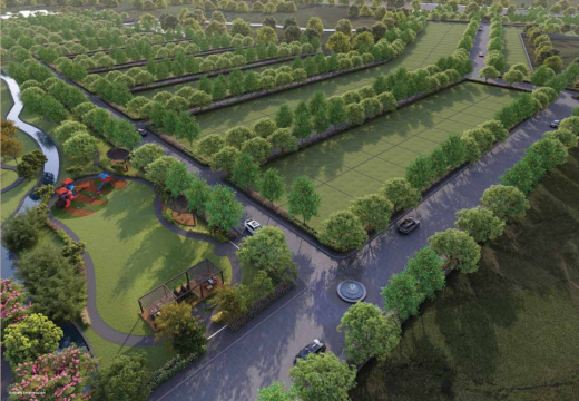 orchids Elevation Elevation