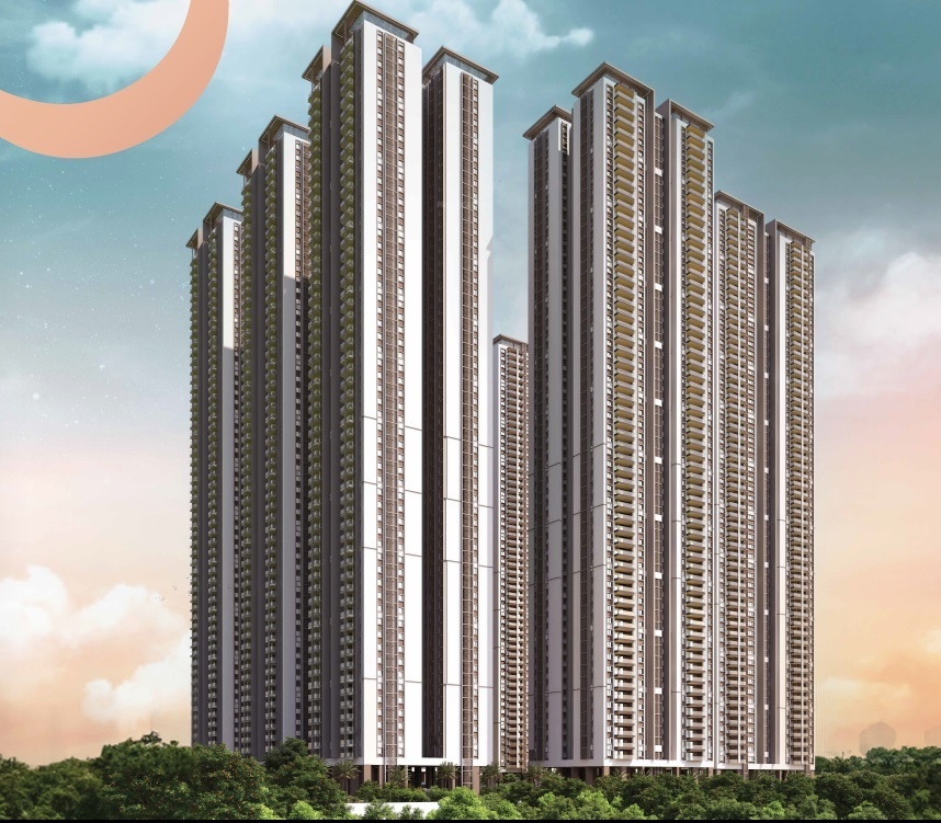 Elevation aurelia Elevation